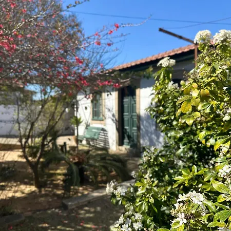 Sauna, Jacuzzi, Firepit, Playground - Oporto And 15min Sanfins