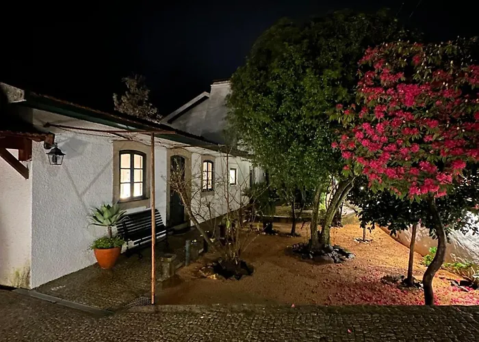 Sauna, Jacuzzi, Firepit, Playground - Oporto And 15min Apartment *