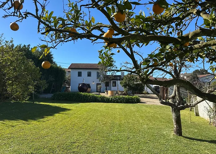 Sauna, Jacuzzi, Firepit, Playground - Oporto And 15min Apartment Sanfins